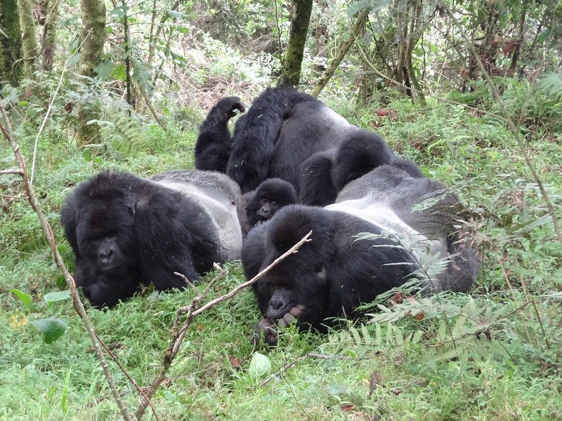 Which Is The Smallest National Park In Uganda