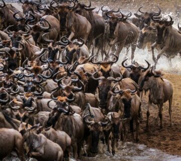 A Comprehensive Tanzania Travel Guide (Updated 2025)