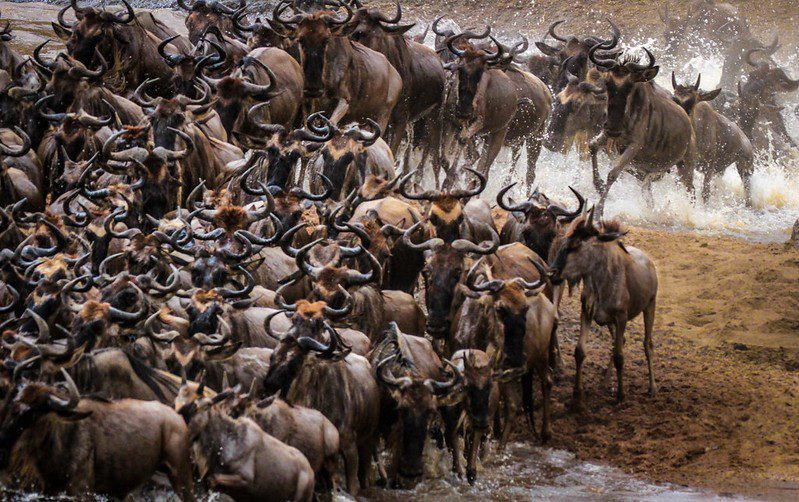 A Comprehensive Tanzania Travel Guide (Updated 2025)