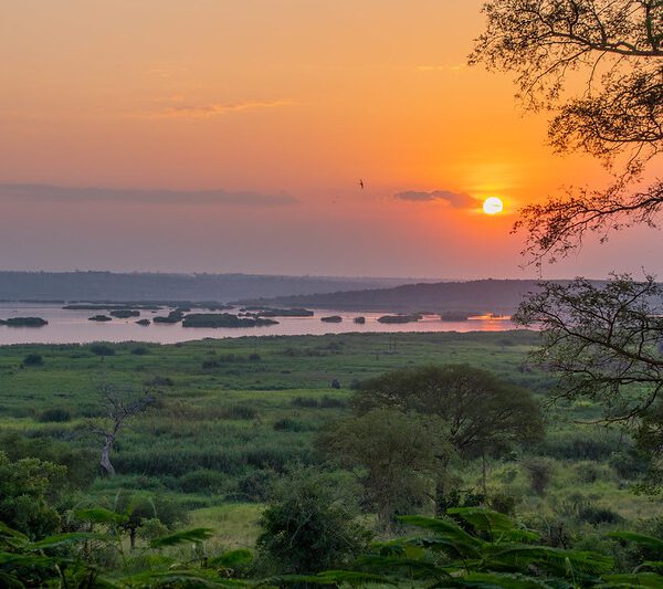 A journey to Murchison Falls National Park in 2025