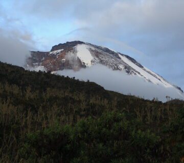 Best Time to Visit Tanzania and Zanzibar