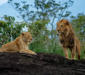 Cheap Places to Visit in Uganda (Budget-Friendly Destinations)