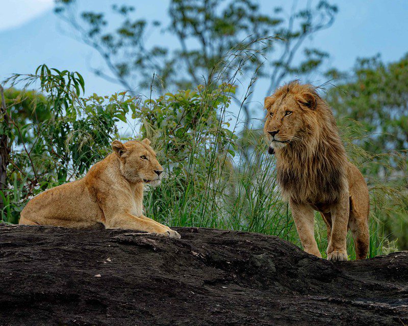 Cheap Places to Visit in Uganda (Budget-Friendly Destinations)