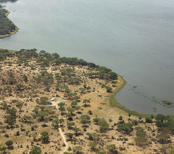 Flying safari to Murchison Falls National Park