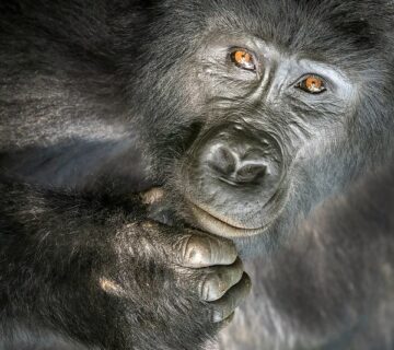 Is Uganda Safe A Full Guide on Safety in Uganda