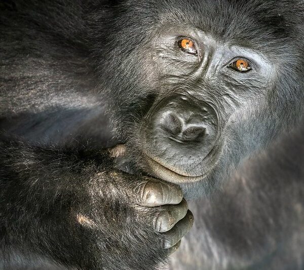 Is Uganda Safe A Full Guide on Safety in Uganda