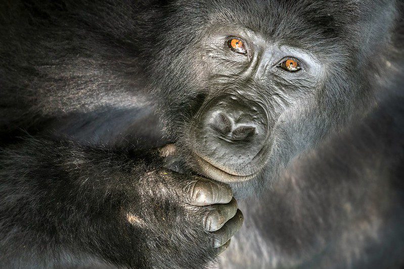 Is Uganda Safe A Full Guide on Safety in Uganda