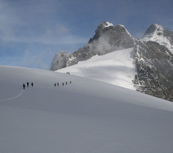 Rwenzori mountains hike