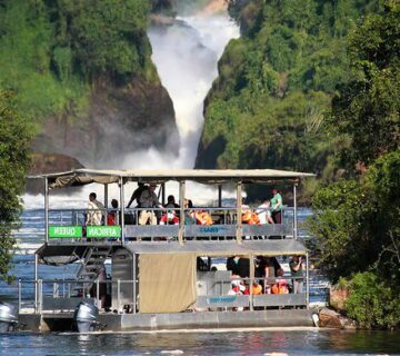 Small group safari to Murchison falls national park 360x320