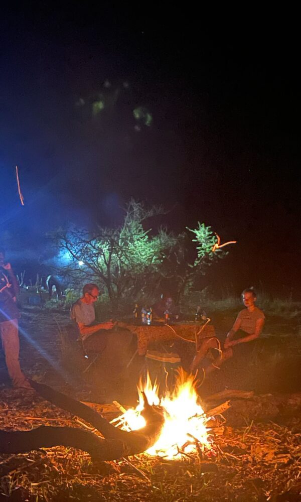 bush camp fire in protected areas of uganda, after bush dinner