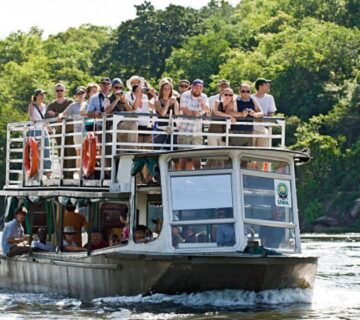 Join a 5-day Uganda group tour featuring gorillas, game drives & Ishasha's tree-climbing lions. Perfect wildlife adventure