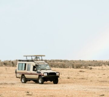 Scenic safari drive through the Masai Mara, with wildlife grazing on the savannah and expansive grasslands under a clear sky