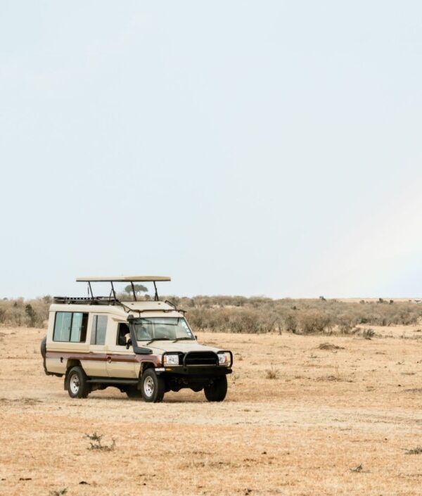 Scenic safari drive through the Masai Mara, with wildlife grazing on the savannah and expansive grasslands under a clear sky