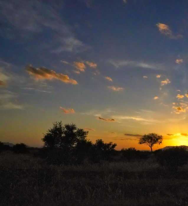 Twilight view of a Kenyan conservancy before a night safari begins