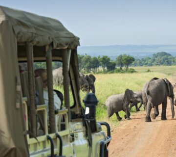 A group of tourists on a safari in Kenya, observing wildlife in the Maasai Mara National Reserve 
