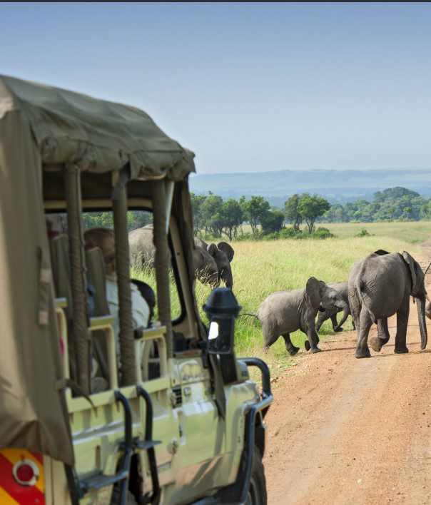 A group of tourists on a safari in Kenya, observing wildlife in the Maasai Mara National Reserve.