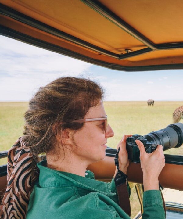 A tourist observing a group of elephants in the wild Masai Mara, Kenya, during a sunset. Group safari packages