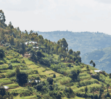 How to Avoid Crowds on Safari in Rwanda 6 Best Family-Friendly Safaris in Uganda