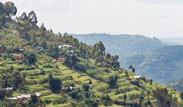 Best Family-Friendly Safaris in Uganda
