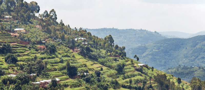 avoid-crowd-in-rwanda Best Family-Friendly Safaris in Uganda
