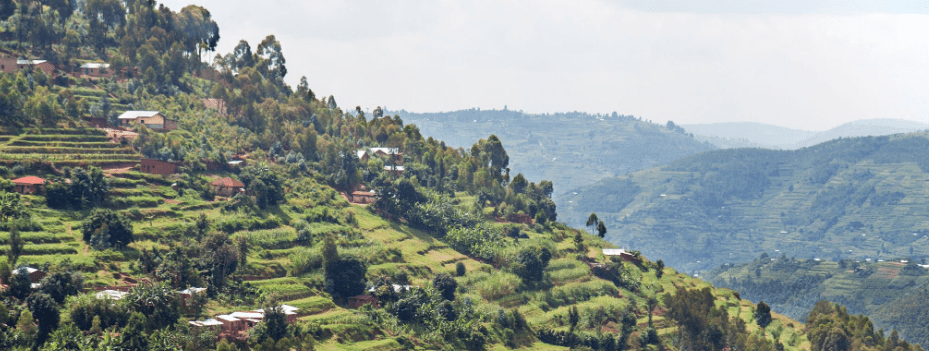 Best Family-Friendly Safaris in Uganda