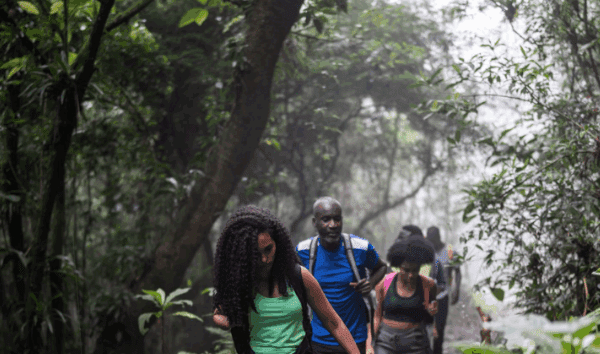 Best Guided Hikes in Rwanda’s Volcanoes National Park: A Journey of Adventure and Inspiration