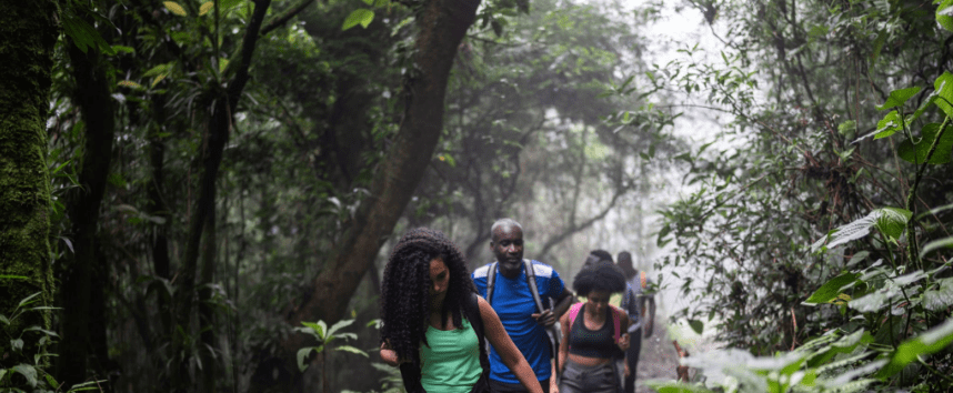 Best Guided Hikes in Rwanda’s Volcanoes National Park: A Journey of Adventure and Inspiration