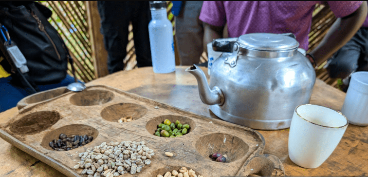 Best Hiking Snacks for Long Treks in Tanzania: Fuel Your Adventure with Energy and Inspiration