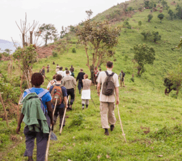 How Hard is the Rwenzori Mountains Hike in Uganda?