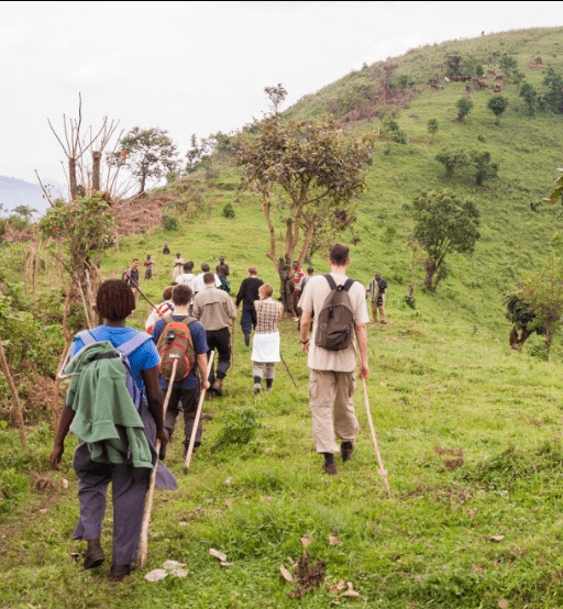 Best Hiking Trails in Uganda for Beginners: A Journey of Discovery and Adventure