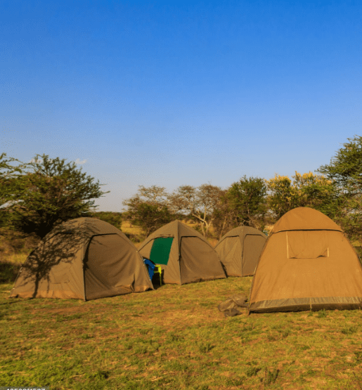 Best Mobile Camping Safaris in Tanzania: An Unforgettable Adventure into the Wild