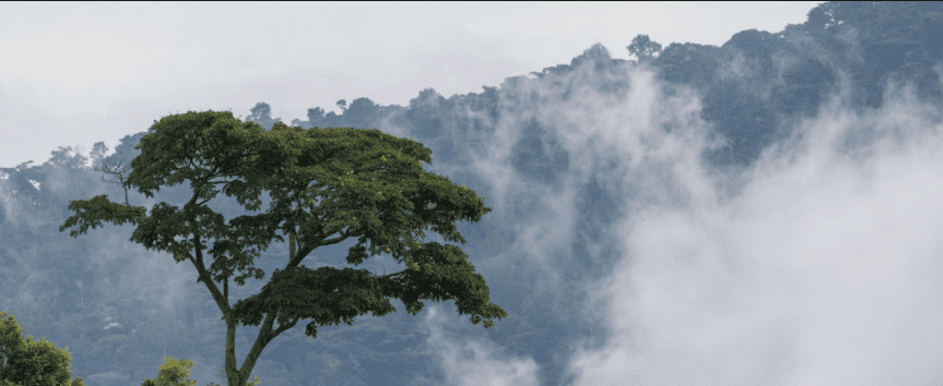 Can You Hike in Uganda During the Rainy Season?