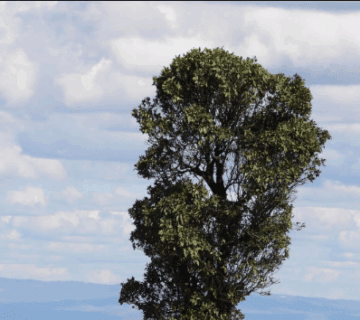 Best Day Hikes Near Nairobi for Quick Adventures