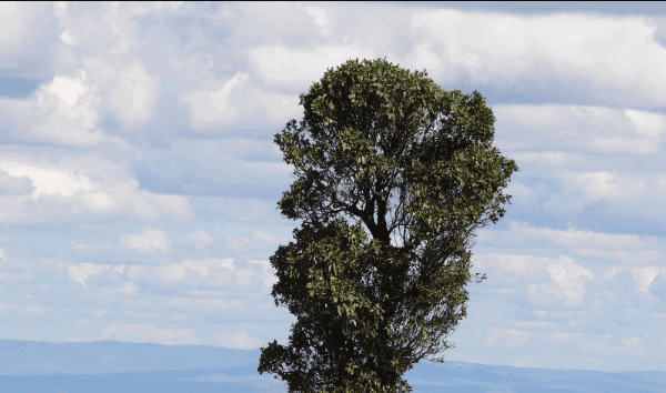 Best Day Hikes Near Nairobi for Quick Adventures