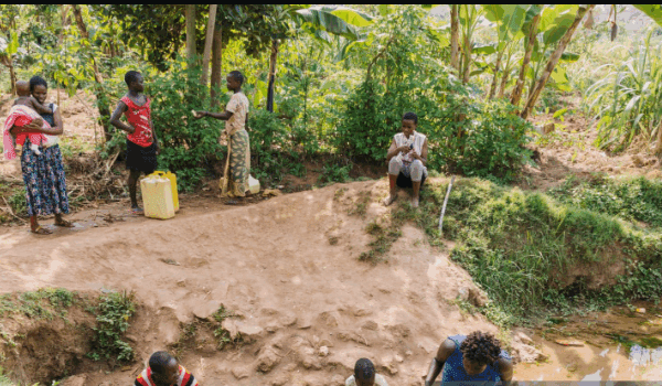 Can You Hike Without a Guide in Uganda?