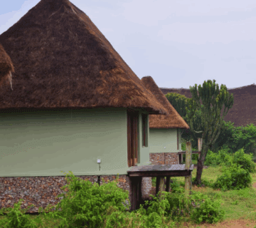 Luxury Safari Lodges in Uganda 2024: A Journey of Adventure, Elegance, and Inspiration
