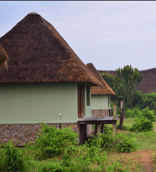 Luxury Safari Lodges in Uganda 2024: A Journey of Adventure, Elegance, and Inspiration