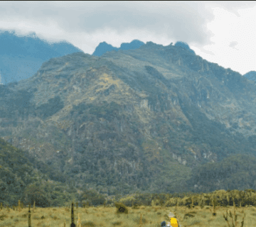 Is Mount Elgon in Uganda Worth the Trek?