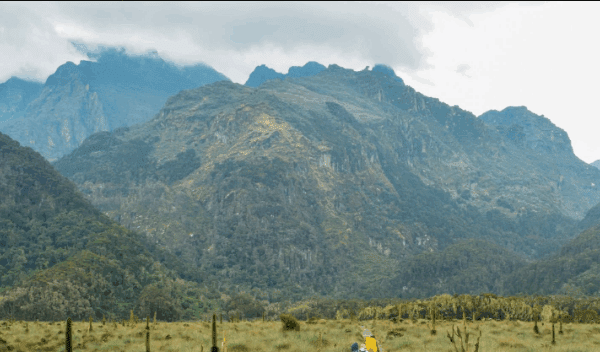 Is Mount Elgon in Uganda Worth the Trek?