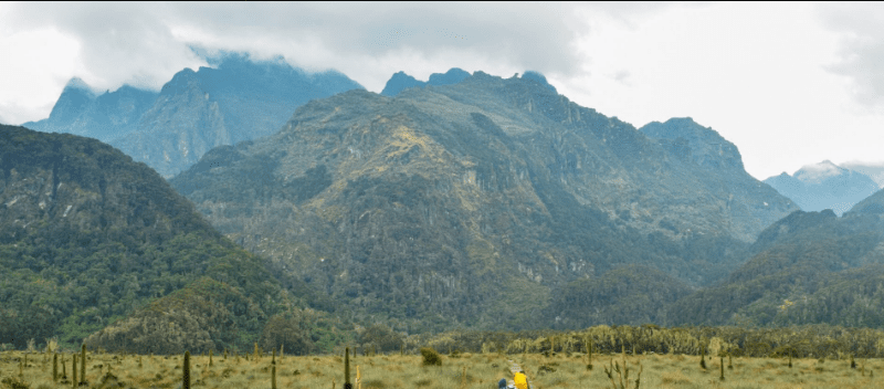 Is Mount Elgon in Uganda Worth the Trek?