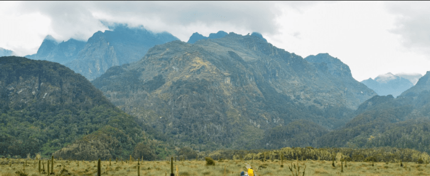 Is Mount Elgon in Uganda Worth the Trek?