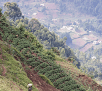 Top 10 Mountain Hikes in Rwanda You Can’t Miss