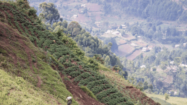 Top 10 Mountain Hikes in Rwanda You Can’t Miss