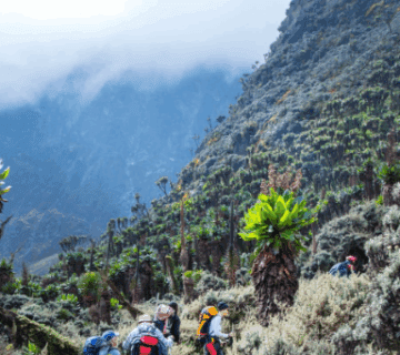 Mountain Hiking Tours in Uganda: A Journey to Discover Your Inner Strength