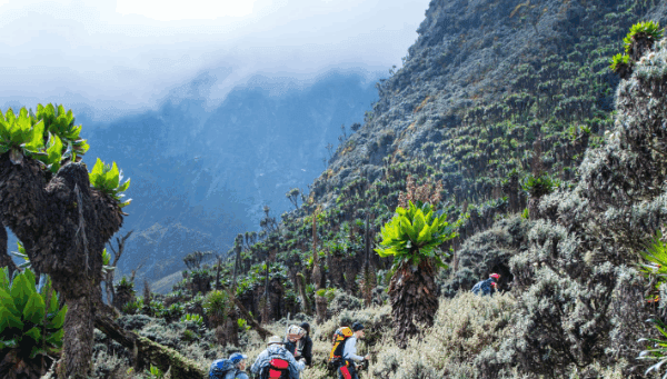Mountain Hiking Tours in Uganda: A Journey to Discover Your Inner Strength