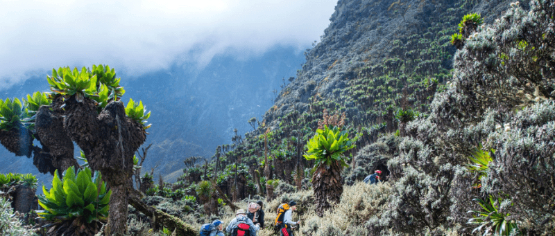 Mountain Hiking Tours in Uganda: A Journey to Discover Your Inner Strength