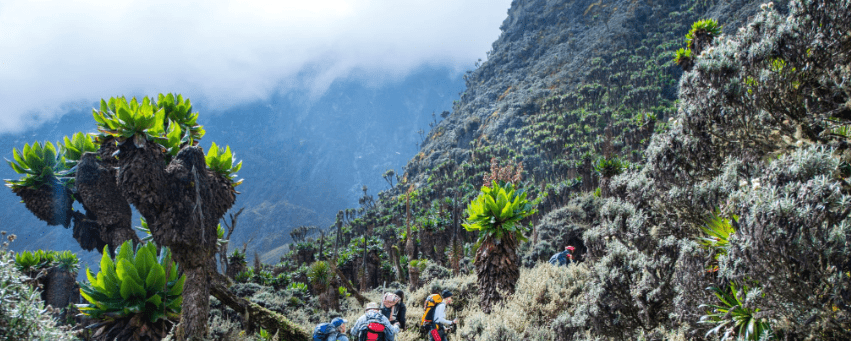 Mountain Hiking Tours in Uganda: A Journey to Discover Your Inner Strength