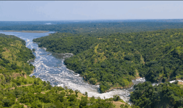 Murchison Falls Uganda – Ultimate Guide: A Journey of Adventure and Inspiration