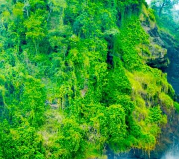 Scenic view of Murchison Falls National Park with the powerful Murchison Falls waterfall cascading over rocky terrain 