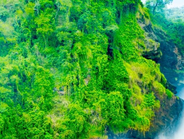 Scenic view of Murchison Falls National Park with the powerful Murchison Falls waterfall cascading over rocky terrain.